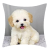 Internet Celebrity Samoyed and Surrounding Grass Deciduous Background Home Pillow Cover Living Room Sofa Square Pillow Wholesale