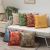 New Velvet Special Bronzing Flannel Home Living Room and Bedside Light Luxury and Simplicity Pillow Sofa Cushion without Core
