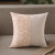 Cross-Border Nordic Minimalist Style Chenille Stitching Pillow Cover Living Room Sofa Model Room Pillow Decoration Cushion Core