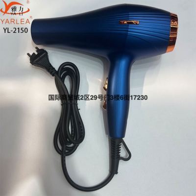 Factory Wholesale Hair Dryer High Power Hot and Cold Three Gear Wind Adjustable Hair Dryer Hair Dryer 220V/110V