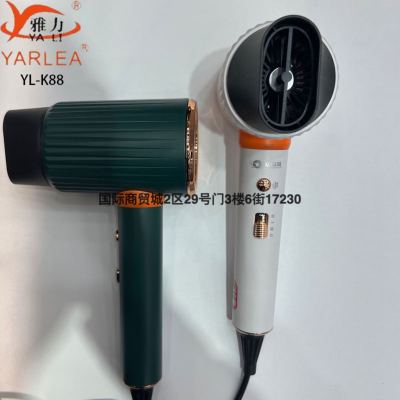 High-End Hair Dryer Quick-Cooling Button Three-Speed Wind Speed Adjustable High-Power Hair Dryer Hair Dryer 110V/220V