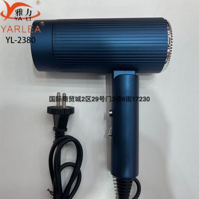 New Folding High-End Hair Dryer Quick Cooling Two-Speed Adjustable Hair Dryer Hair Dryer 110V/220V