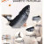 Simulated Fish Plush Toy Fish Carp Factory Direct Sales