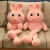 Spot Goods Internet Celebrity Plush Toy Doll Pull Ears Rabbit Doll Big Long Leg Rabbit Can Pull Ears Rabbit Best-Seller on Douyin