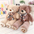 Bear Mascot New Doll Plush Toy Doll Factory Direct Sales