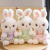 Cute Floral Skirt Fresh Rabbit Doll Plush Toy Women's Bed Sleeping Companion Doll Adorable Home Decoration Factory Wholesale