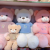 Creative New Heart-Hugging Teddy Bear Doll Large Sleeping Pillow for Girl Dressed Bears Plush Toy
