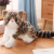 Cute Kitty Doll Simulation Garfield Plush Toy Cat Doll Girl Child Comfort Ragdoll
