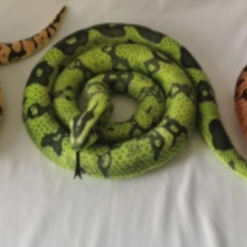 artificial pattern python plush doll， scary toy， children‘s toy