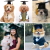 Cross-Border Amazon New Puppy Tassel Doctorial Hat Student Tassel Graduation Cap Party Supplies Pet Small Hat