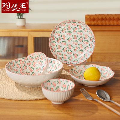 Japanese Style Bowl Dish Home Use Set Ceramic Bowl Plate New Spring Style Ten Li Internet Celebrity Tableware Dining Plate Combination