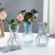 Nordic Ornaments Ins Style Good-looking Hydroponic Vase High-Grade Flower Wholesale Glass Vase Creative Garlic