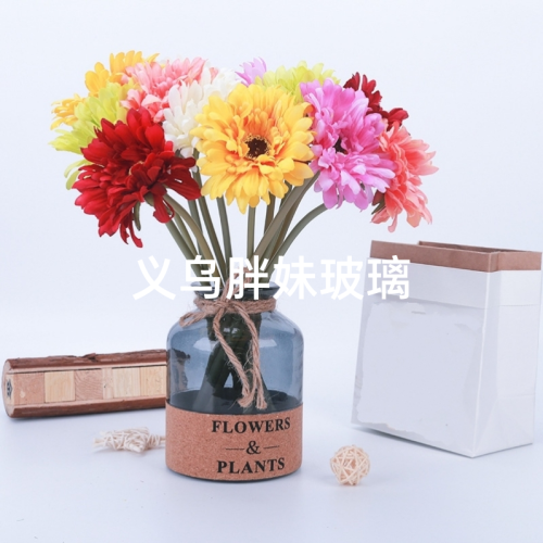 简约玻璃花瓶水培鲜花插花小花瓶客厅水养创意摆件