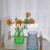New Creative Closed Glass Vase Color Cloth Bag Hydroponic Vase Home Office Hydroponic Flower Bottle Decoration