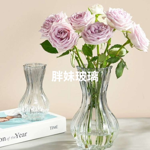 网红ins插花器摆件复古花瓶玻璃批发鲜花富贵竹水培 北欧玻璃花瓶