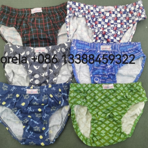 Leo boxer boys briefs