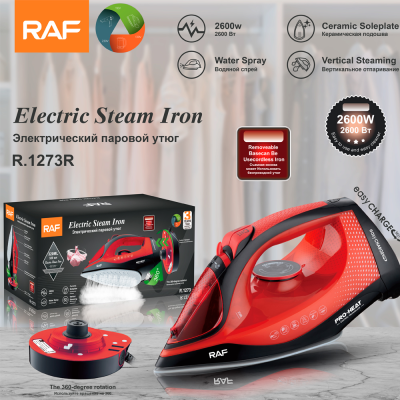 RAF European Standard Electric Iron Household Handheld Wireless Wired Steam and Dry Iron Removable Pressing Machines Ironing Clothes