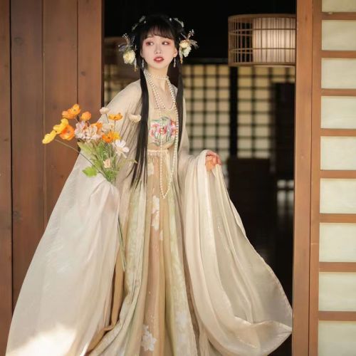 spring chinese clothing tang style full set of terminus dress daily adult chinese clothing female student printed big sleeve fir spring and summer