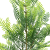 Factory Wholesale Simulation Green Plant Home Decoration Fern Plant Artificial Flowers Hand Feel Beam Simulation Persian Grass