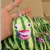 Watermelon Strip Doll Pendant Sound Funny Toy Plush Toy Family Who Knows Voice