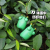  Cabbage Worm Cute Animal Vent Pressure Reduction Toy Squeezing Toy Stress Relief Ball Children's Toys