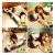 Wu Huangwan Sleeping Cat Pillow Doll Doll Plush Toys Sleeping Bed Long Pillow Leg-Supporting Ragdoll Girl