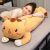 New Cute Cat Ragdoll Sleeping Pillow Long Doll Plush Toy for Girls Bed Doll Gift for Women