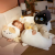 Super Soft Black Cat Doll Plush Toy Sleep Hug Doll Bed Pillow for Girls Sleeping Doll Birthday Gift for Women