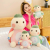 Couple Turtle Plush Toy Doll Turtle Doll Ragdoll Children Boys Sleeping Pillow Bed Female Large