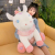 Super Cute Unicorn Doll Soft Pillow Doll Girl Cute Plush Toy Ragdoll Girl's Birthday Gift