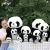 Panda Black and White Football Giant Panda Ragdoll Plush Toy Doll Doll Wholesale Birthday Gift for Boy