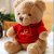 Teddy Bear Doll Small Plush Toy Cute Bed Sleep BEBEAR Valentine's Day Gift Bear Doll