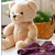Teddy Bear Doll Small Plush Toy Cute Bed Sleep BEBEAR Valentine's Day Gift Bear Doll