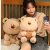 Little Bear Doll Cute Ragdoll Plush Toy Pillow for Girls Sleeping Girl Gift Internet Celebrity Huggy Bear Doll