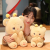 Cute Sunshine Honey Bear Doll Bear Doll Bee Plush Toy Pillow for Girls Sleeping Doll Birthday Gift