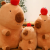 Ugly and Cute Capybara Christmas Eve Fruit Plush Toy Children's Pillow Cute Instafamous Rag Doll Figurine Doll Capybara