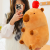 Ugly and Cute Capybara Christmas Eve Fruit Plush Toy Children's Pillow Cute Instafamous Rag Doll Figurine Doll Capybara