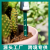 Soil Moisture Meter Plant Water Shortage Reminder Instrument Green Plant Moisture Detector Gardening Moisture Stick
