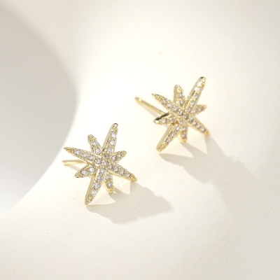 Small and Exquisite Eight Awn Star Diamond Stud Earrings New Simple and Versatile Zircon Earrings Fashion Personalized Temperament Earrings