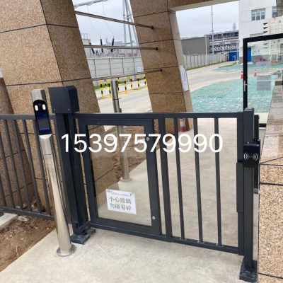 Community Credit Card Advertising Door Electric Automatic Door Intelligent Face Recognition Fence Gate Pedestrian Access Control System