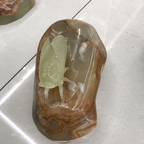 巴基斯坦玉雕摆件#玉雕金蝉#一鸣惊人工艺品