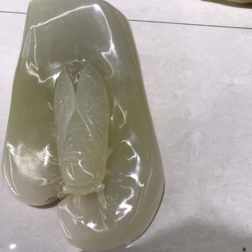巴基斯坦玉雕摆件#玉雕金蝉#一鸣惊人工艺品
