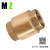Valve 1/2 to 4 Inch Internal Thread High Quality Manufacturing Vertical Forged Brass Spring Check Valve