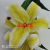 High Simulation Moist Feeling Lily Bouquet Simulation Fake Flower Home Living Room Decoration Display Bouquet Flower Plant