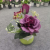 Popular Simulation Flower Pot Bonsai Set Domestic Ornaments Show Window Decoration Props Beautiful Furnishings Decoration