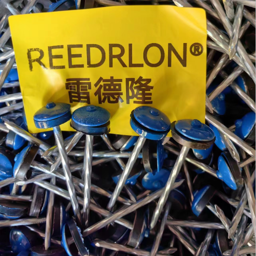 雷德隆瓦楞钉 Roofing nail 喷漆瓦楞钉