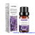 Cross-Border 10ml Water-Soluble Humidifier Aromatherapy Oil Aromatic Oil Lavender Rose Aromatherapy Oil Factory Wholesale