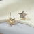 New Exquisite Fashion Copper Zirconium Plated Real Gold Silver Needle Temperament Wild Fresh Simple Pentagram Stud Earrings Female Wholesale