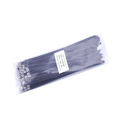 304 Plastic Spraying Stainless Steel Ribbon 4.6*200 Metal Self-Locking Black Cable Tie Wholesale Bridge Sign Strap