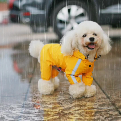 small dog reflective pet raincoat four-legged dog outdoor waterproof leisure poncho four seasons universal clothes